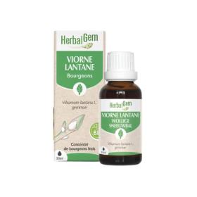 HERBALGEM Viorne lantane bio 30ml