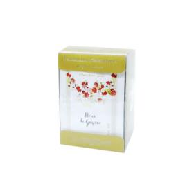 CLAUDE GALIEN Pochettes parfumées fleur de goyave 10 lingettes