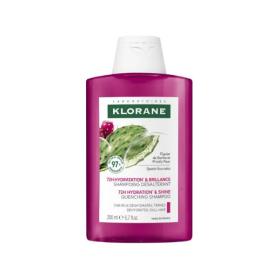 KLORANE Figuier de barbarie 72h hydratation & brillance shampoing désaltérant 200ml