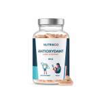 NUTRI & CO Antioxydant 60 gélules