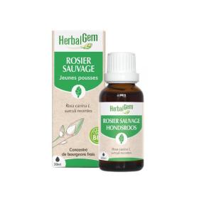 HERBALGEM Rosier sauvage bio 30ml