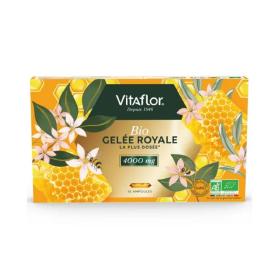 VITAFLOR Gelée royale bio 4000mg 10 ampoules