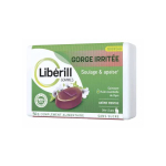 PIERRE FABRE Drill libérill gommes gorge irritée 50g