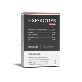 SYNACTIFS HSP actifs immunité booster immunitaire 10 gélules