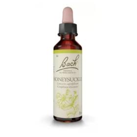 FLEURS DE BACH Honeysuckle n°16 20ml