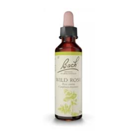 FLEURS DE BACH ORIGINAL Wild rose n°37 20ml